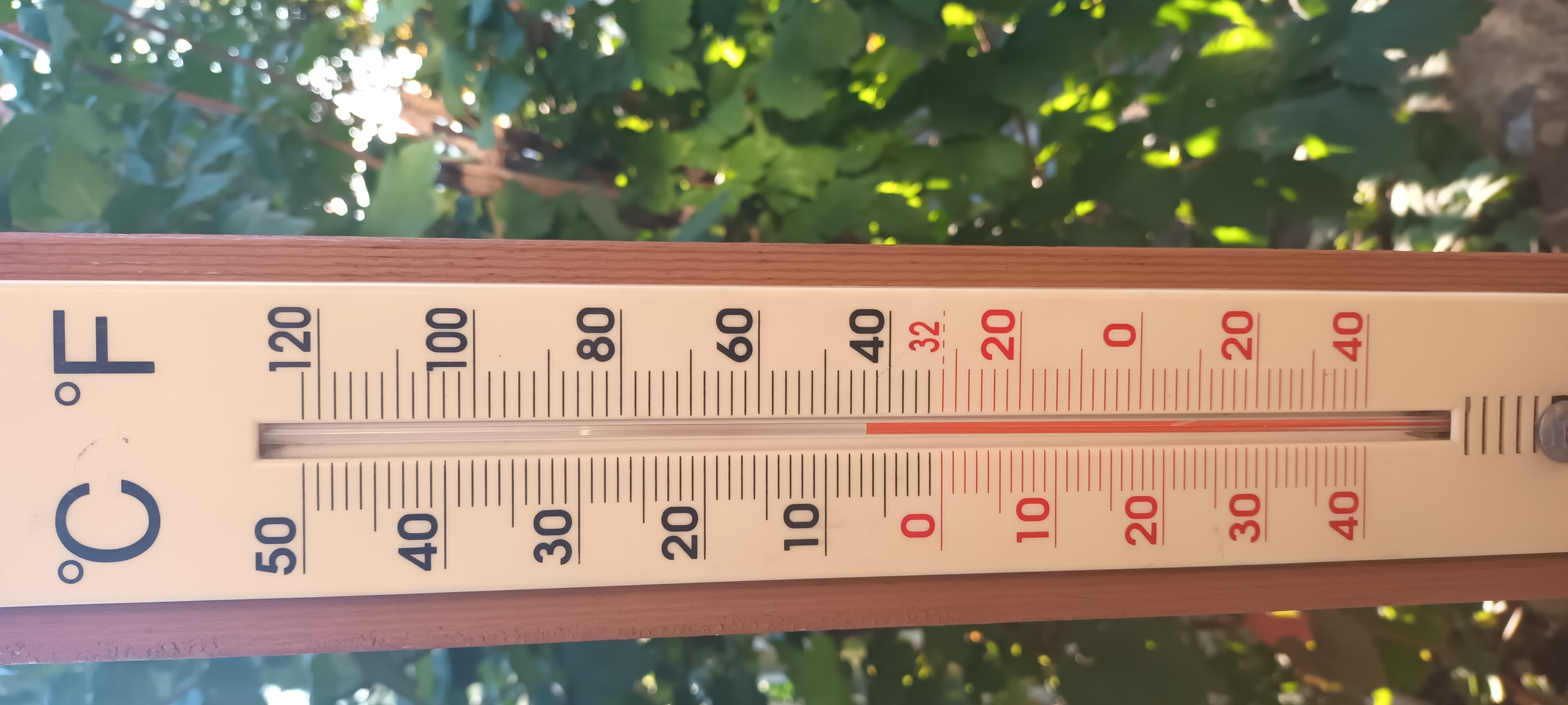 Ok what do we have here on the " Bat Thermometer"? No where near the minus 7 degrees celcius that i…