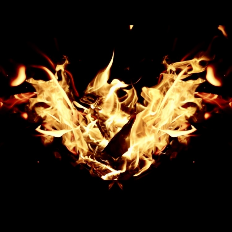 This is not just an animation.

Based on the recursive inscriptionised "Phoenix photo art", it is a…