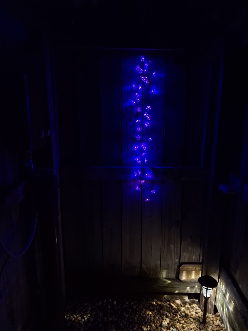 gn
