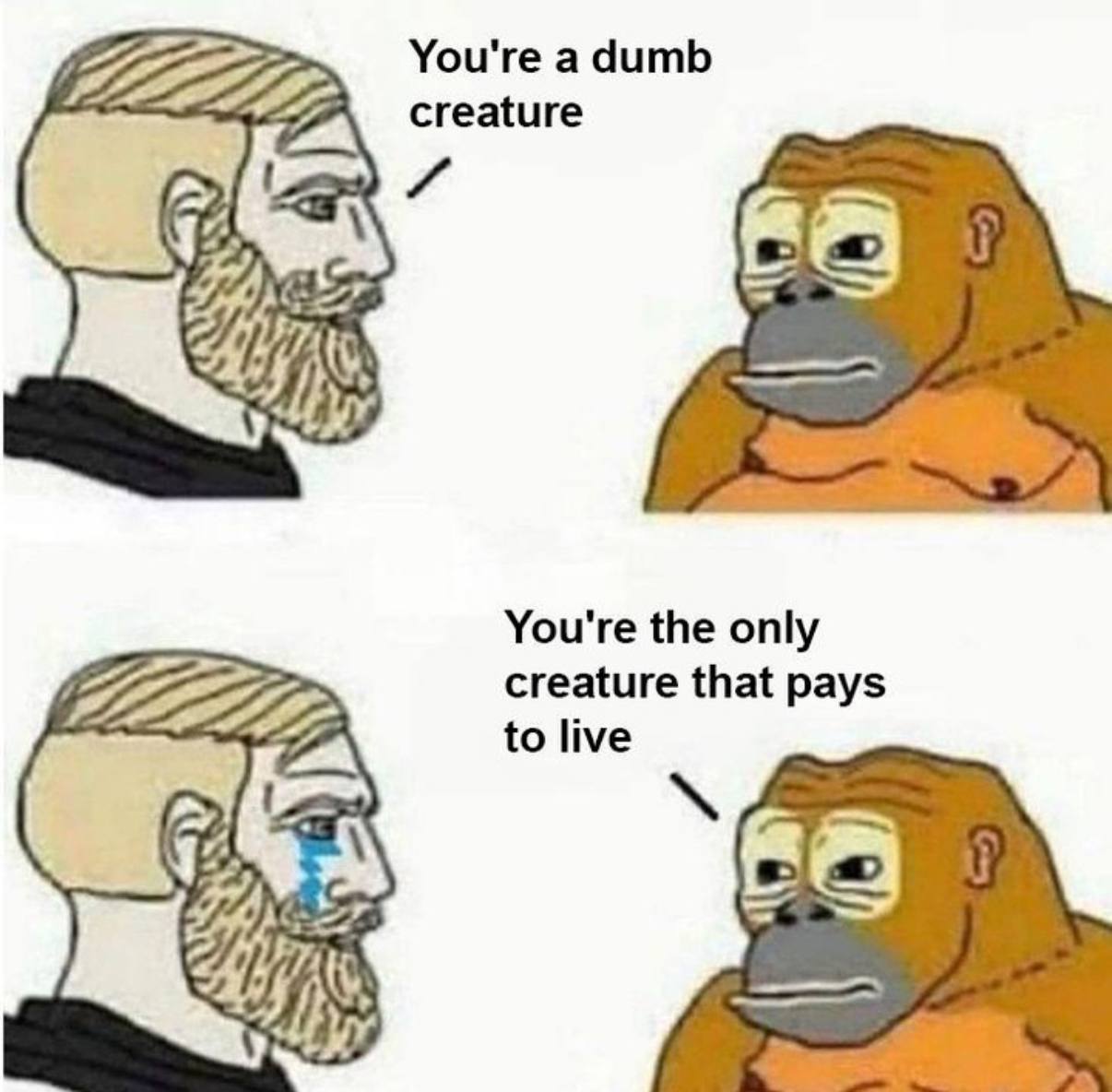Slashvi post