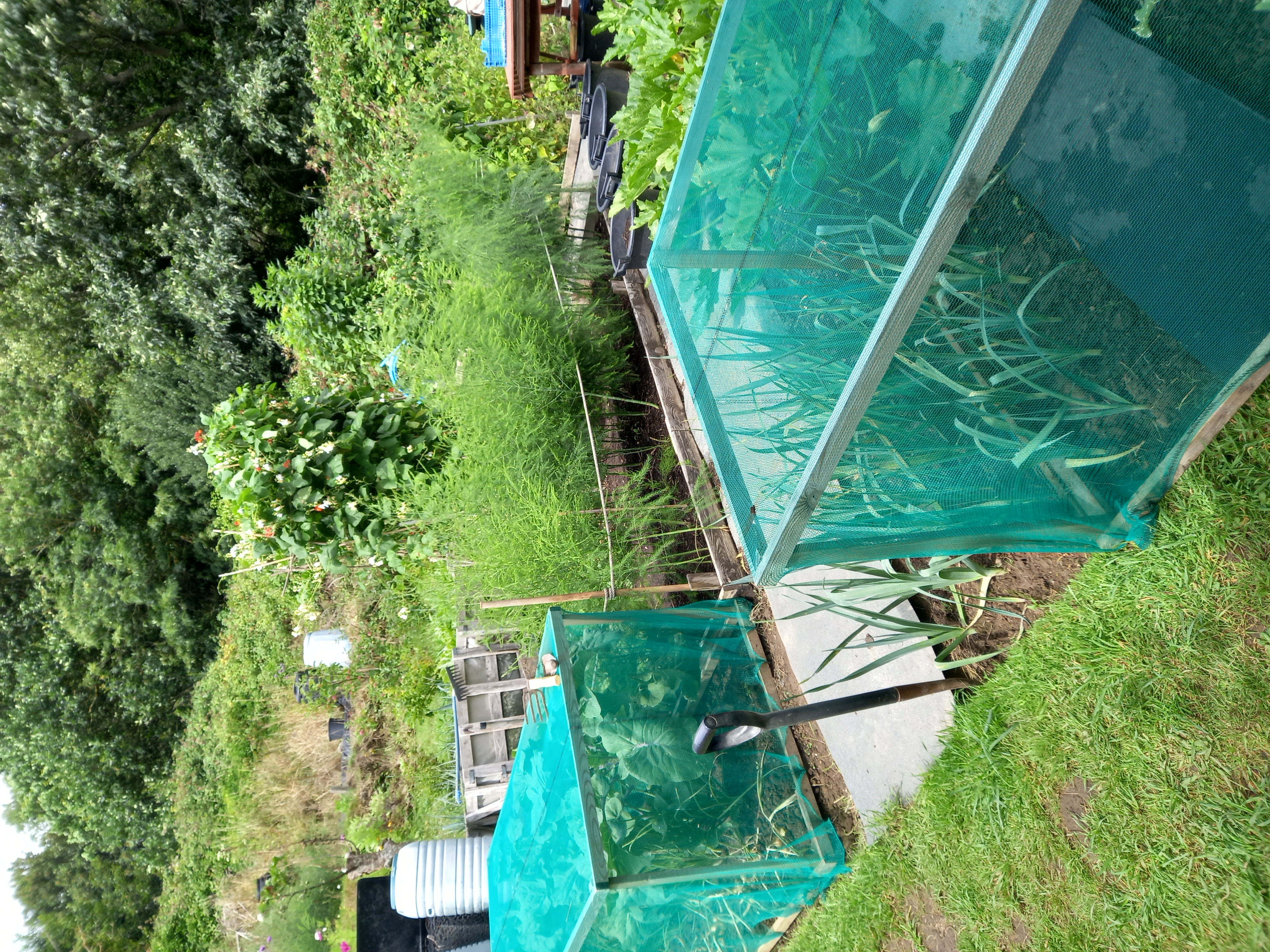 The ability to grow your own food and be self sustainable is possibly the most empowering thing eve…