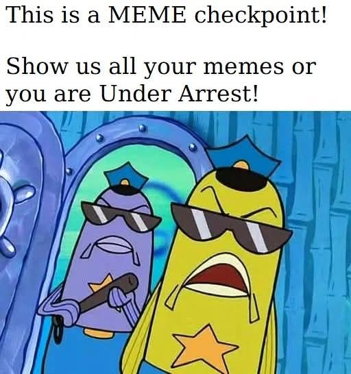 First MEME checkpoint on-chain
Future generations, you're welcome.