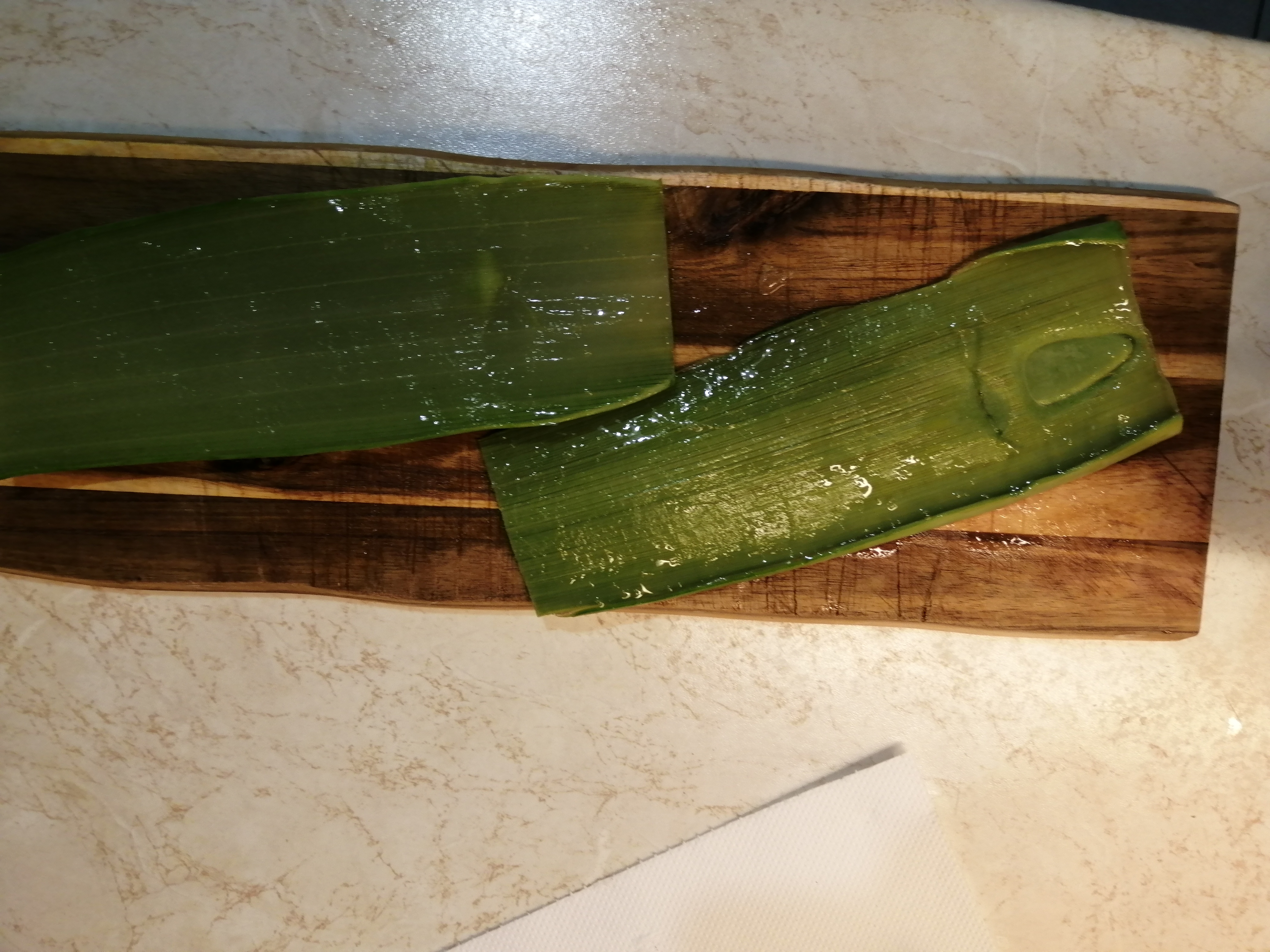 Slice the flat (top) side from the succulent leaves.

[[Hobby]] [[Gardening]] [[Succulents]] [[Aloe…