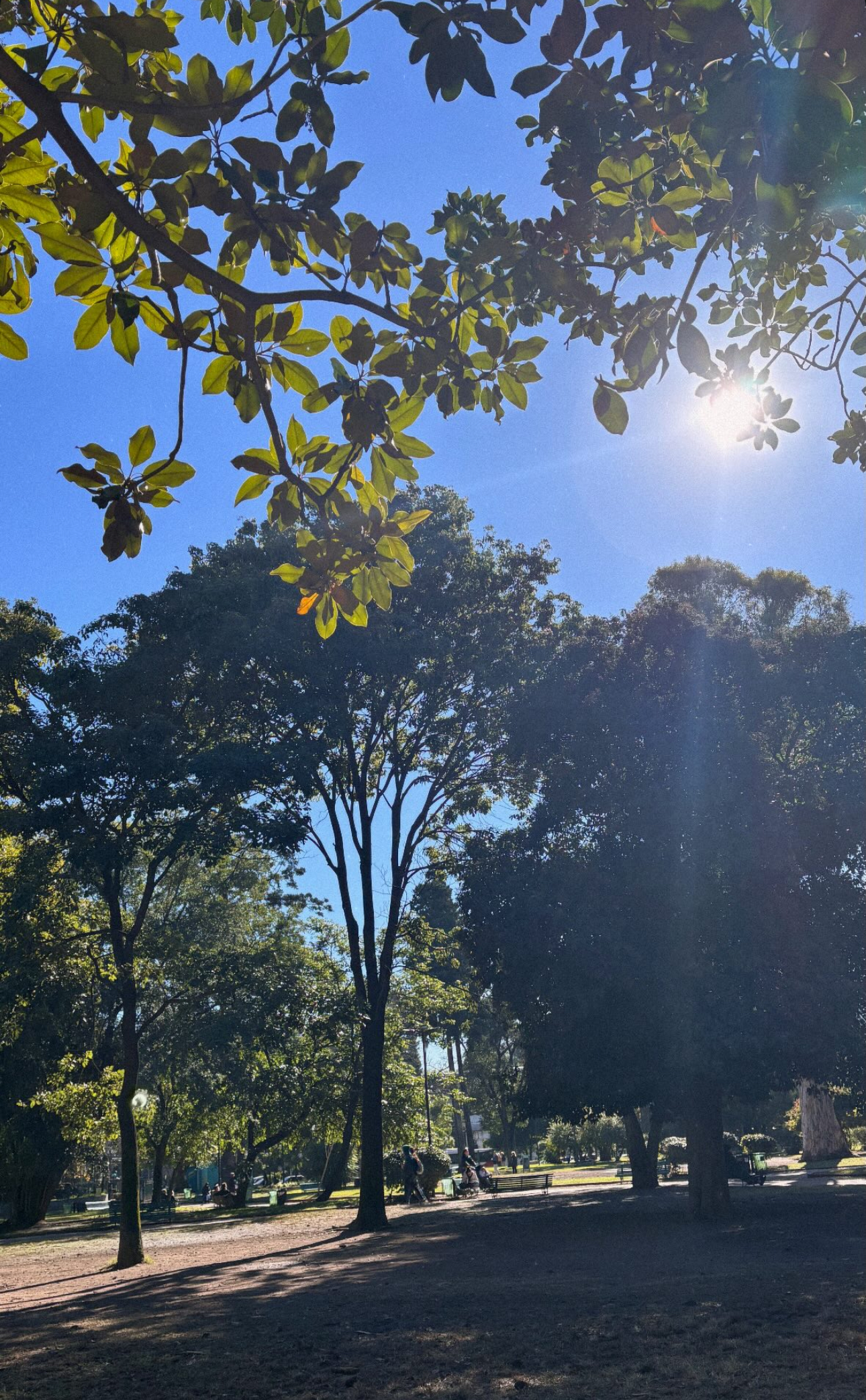 It’s nice day! #BA ☀️🍂