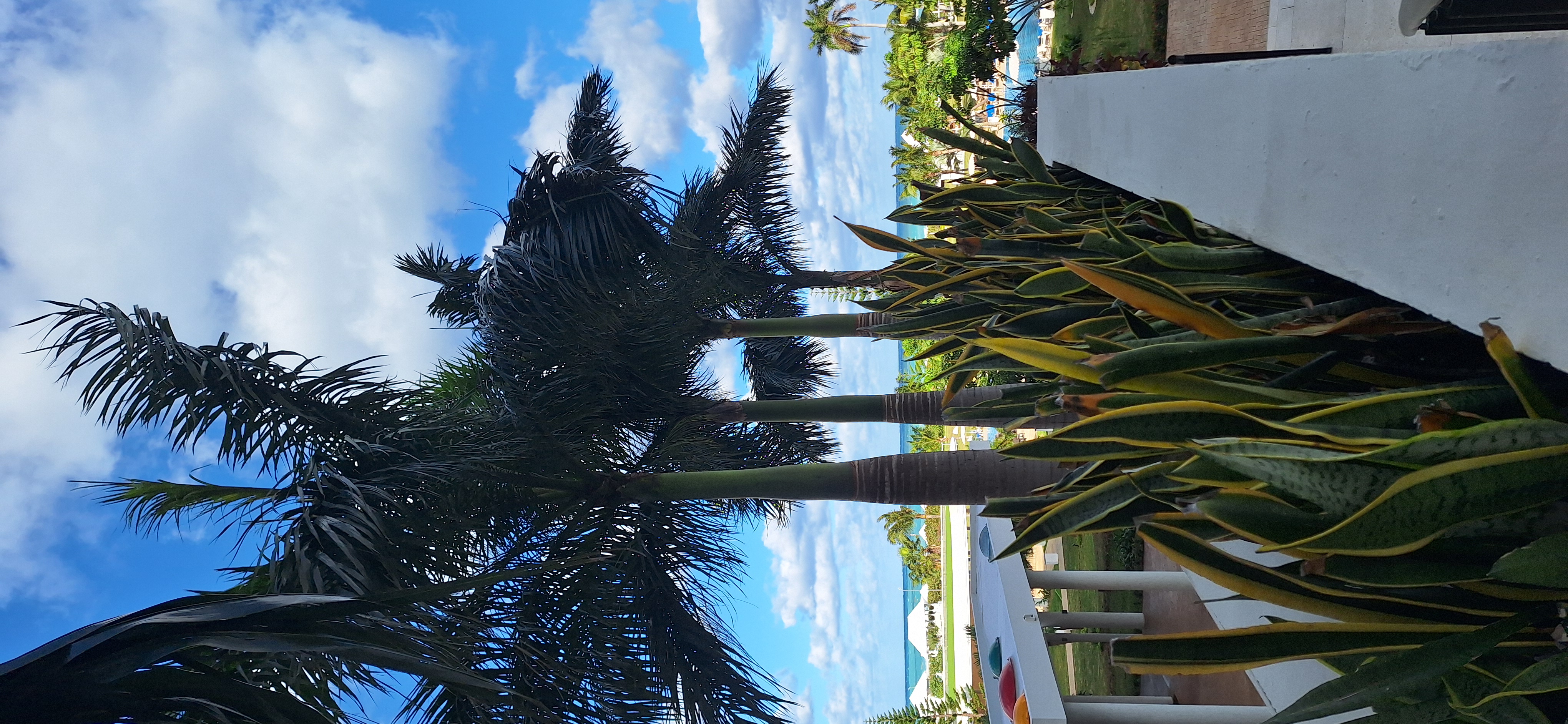 My day. It's cold 16C⁰ for the Caribbean that's very cold.