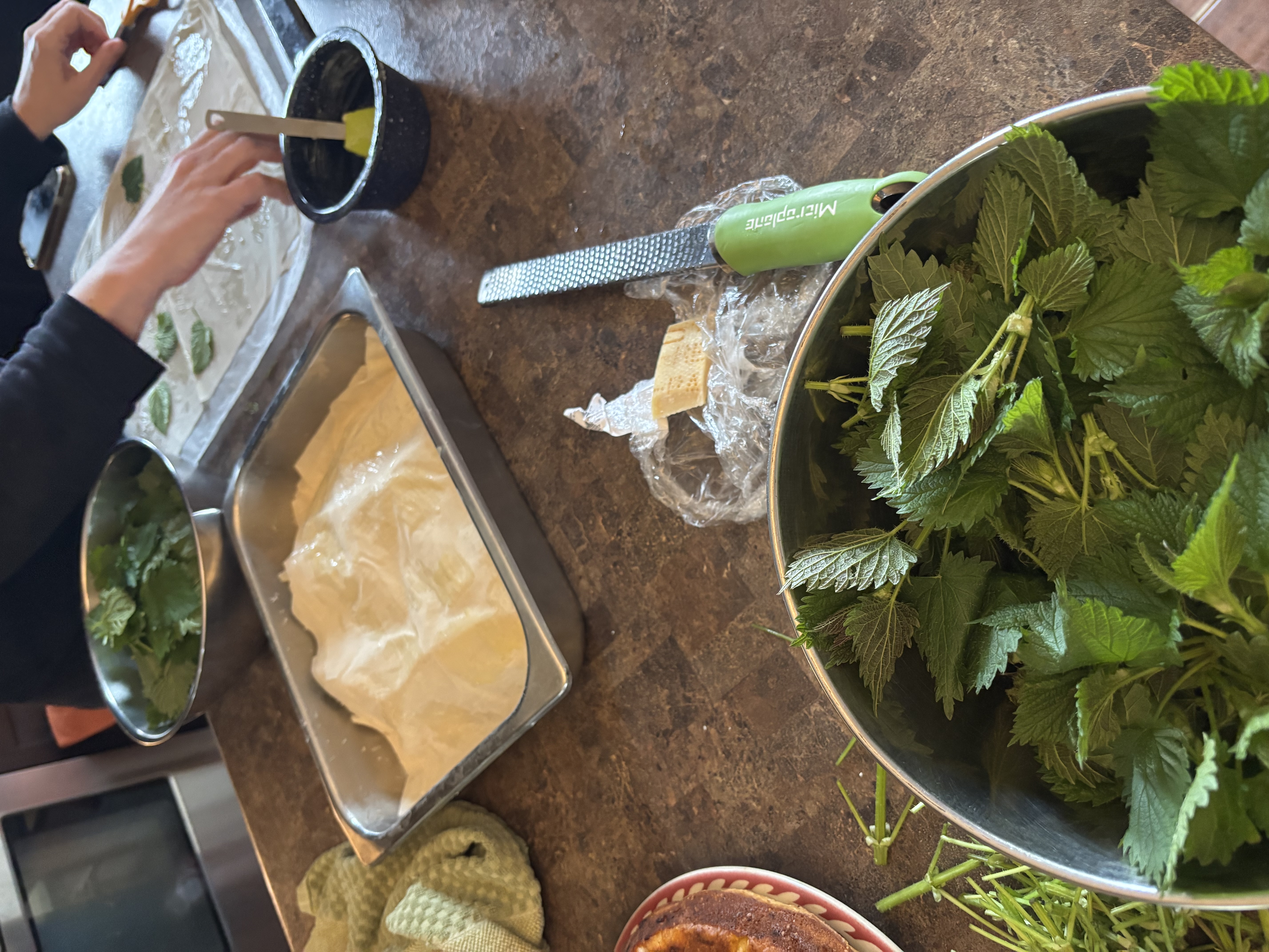 Went out and grabbed some Stinging Nettles Yesterday before the rains came.   My favorite free food…