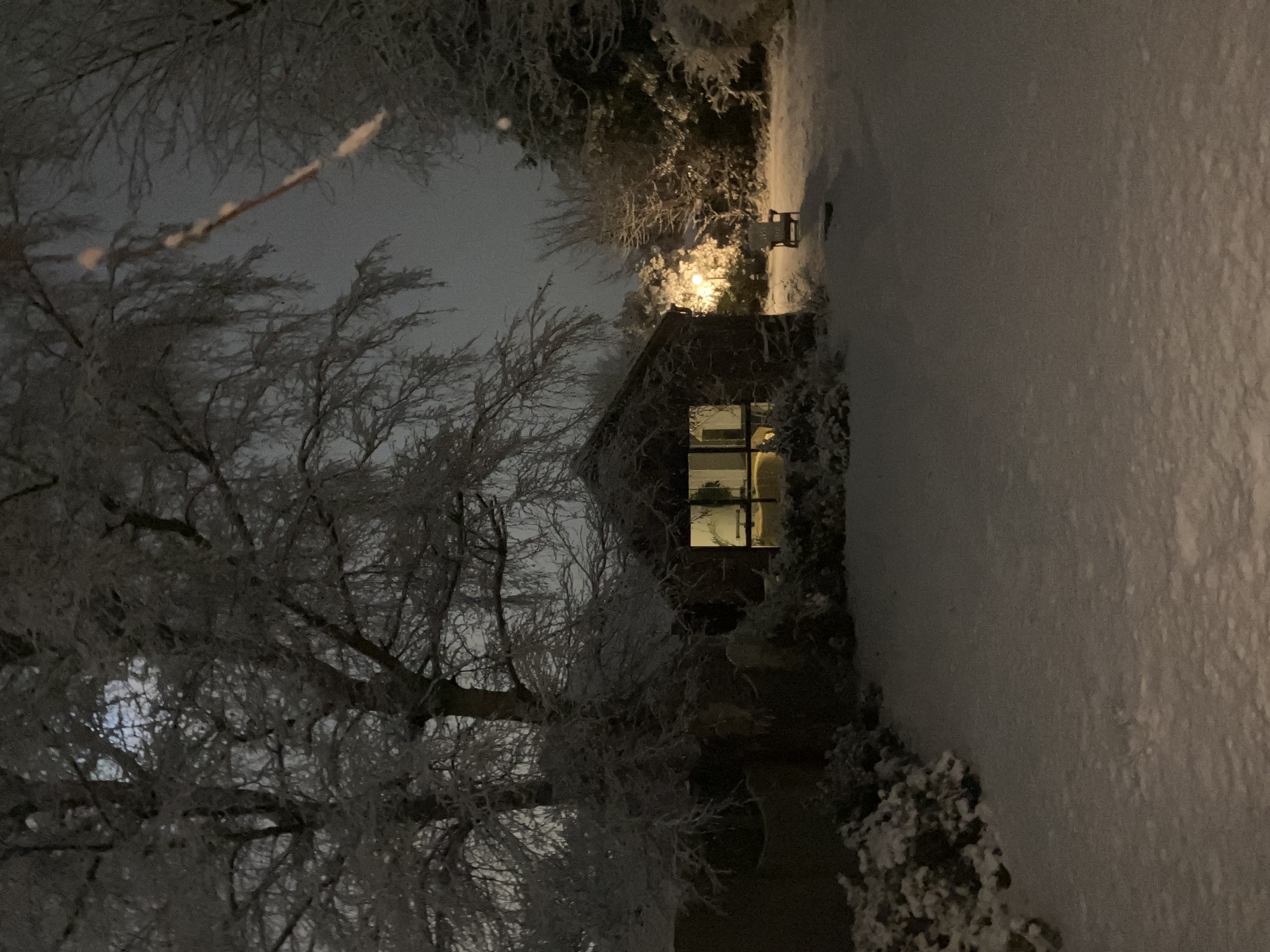 The first proper snow… and my Narnia lamplight at the bottom of the garden… love it.