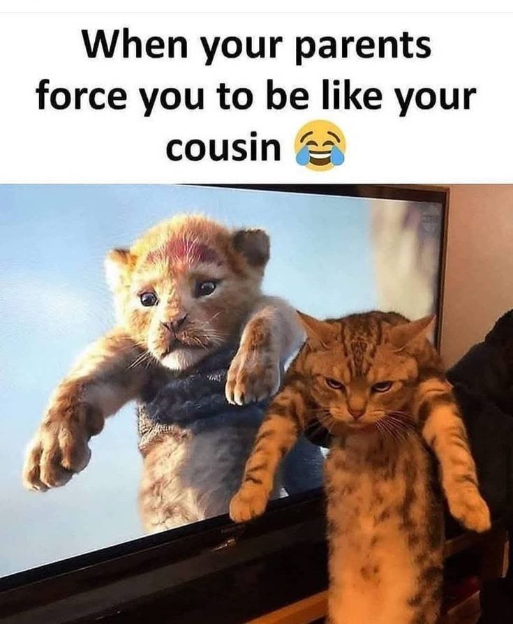 Slashvi post