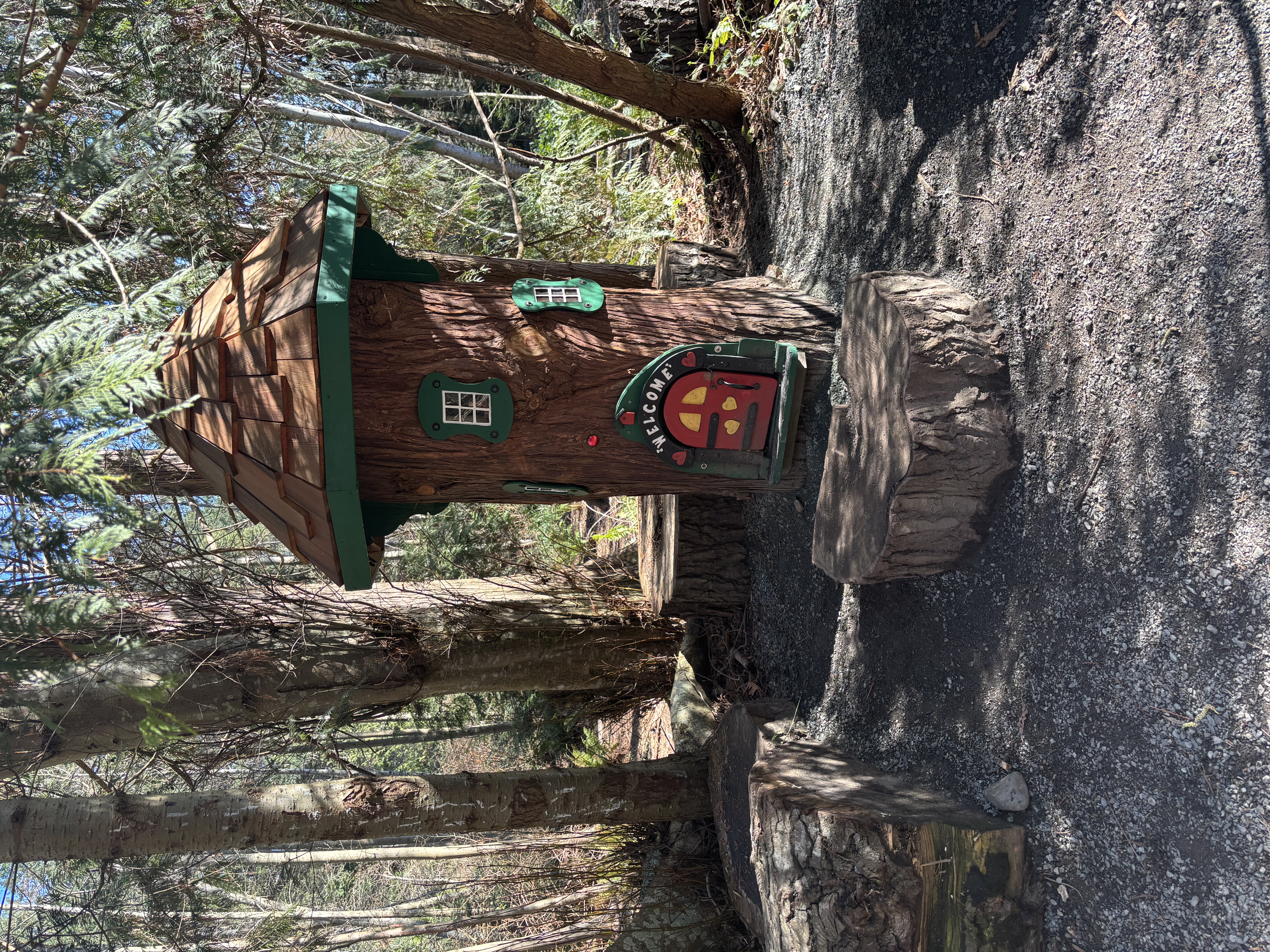 Gentrification of a local faerie forest.   It’s been years since I’ve been through it.  We go to th…