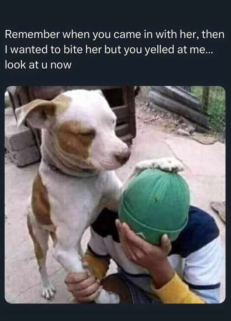#meme