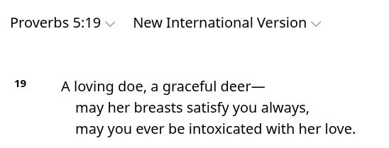 new favorite bible verse