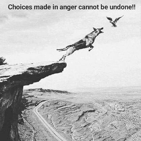 Life lessons
