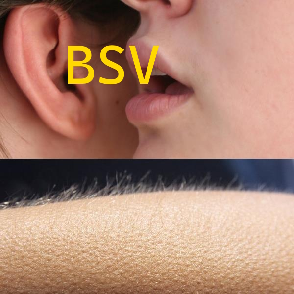 1Bitcoin_user post