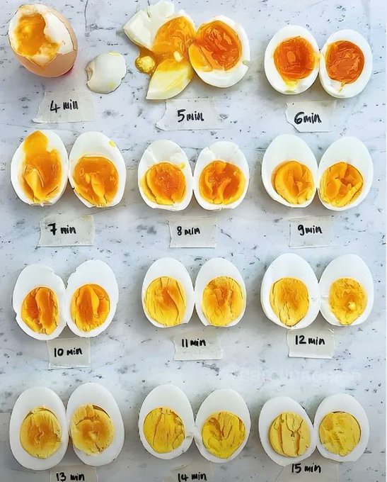 [[eggs]]