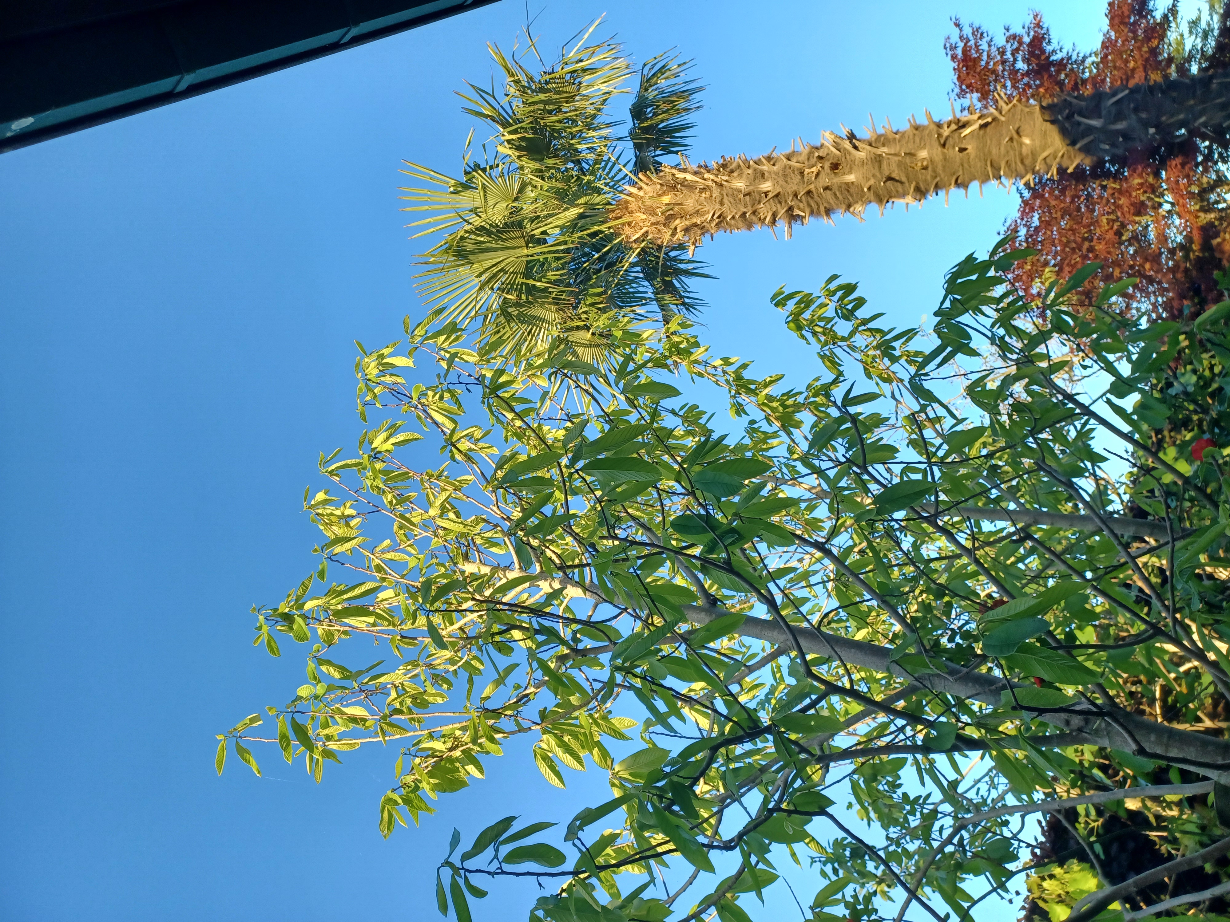 Hot today.