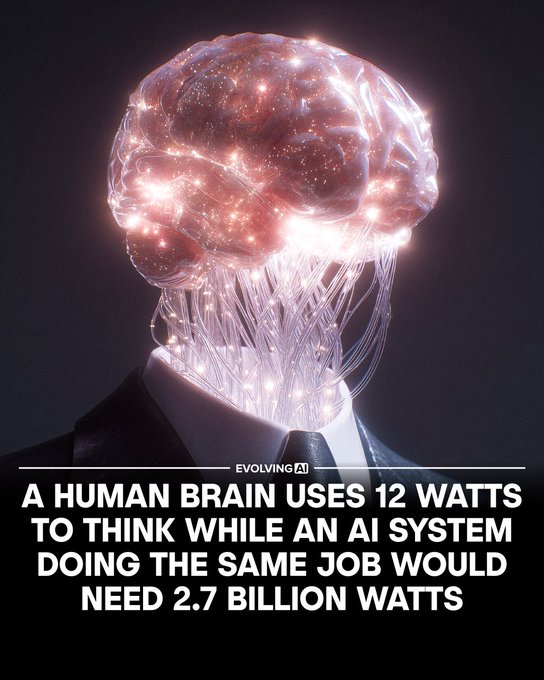 [[human]]