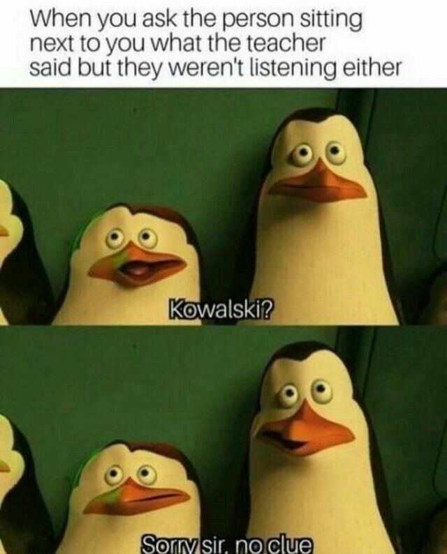 #meme