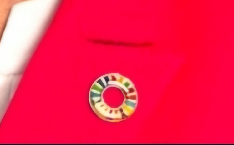 The mint button hides a nice detail in her official picture: