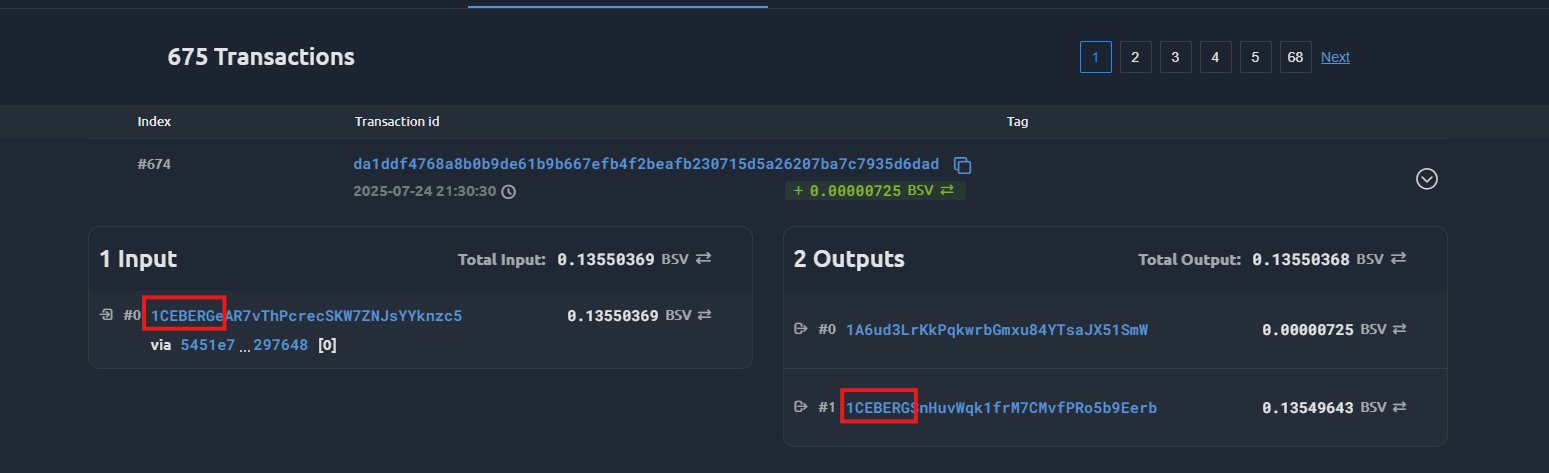 The biggest BSV wallet just received a transaction from an address starting with 1CEBERG:
whatsonch…