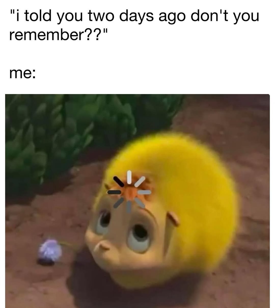 Slashvi post