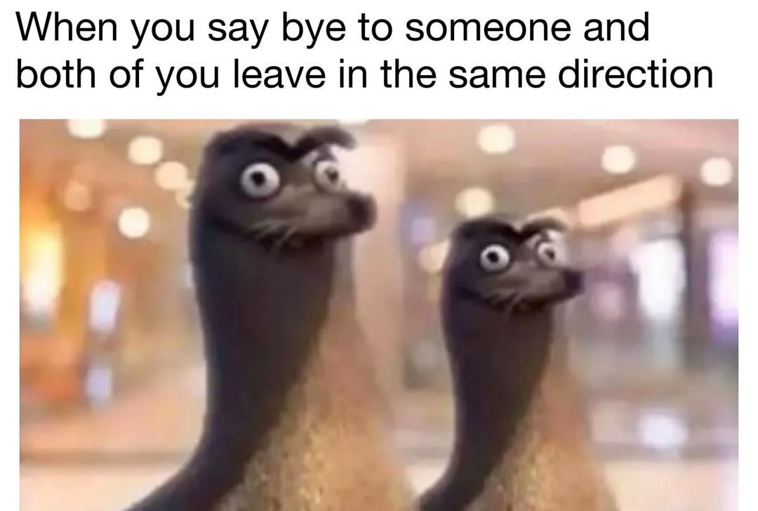 Slashvi post