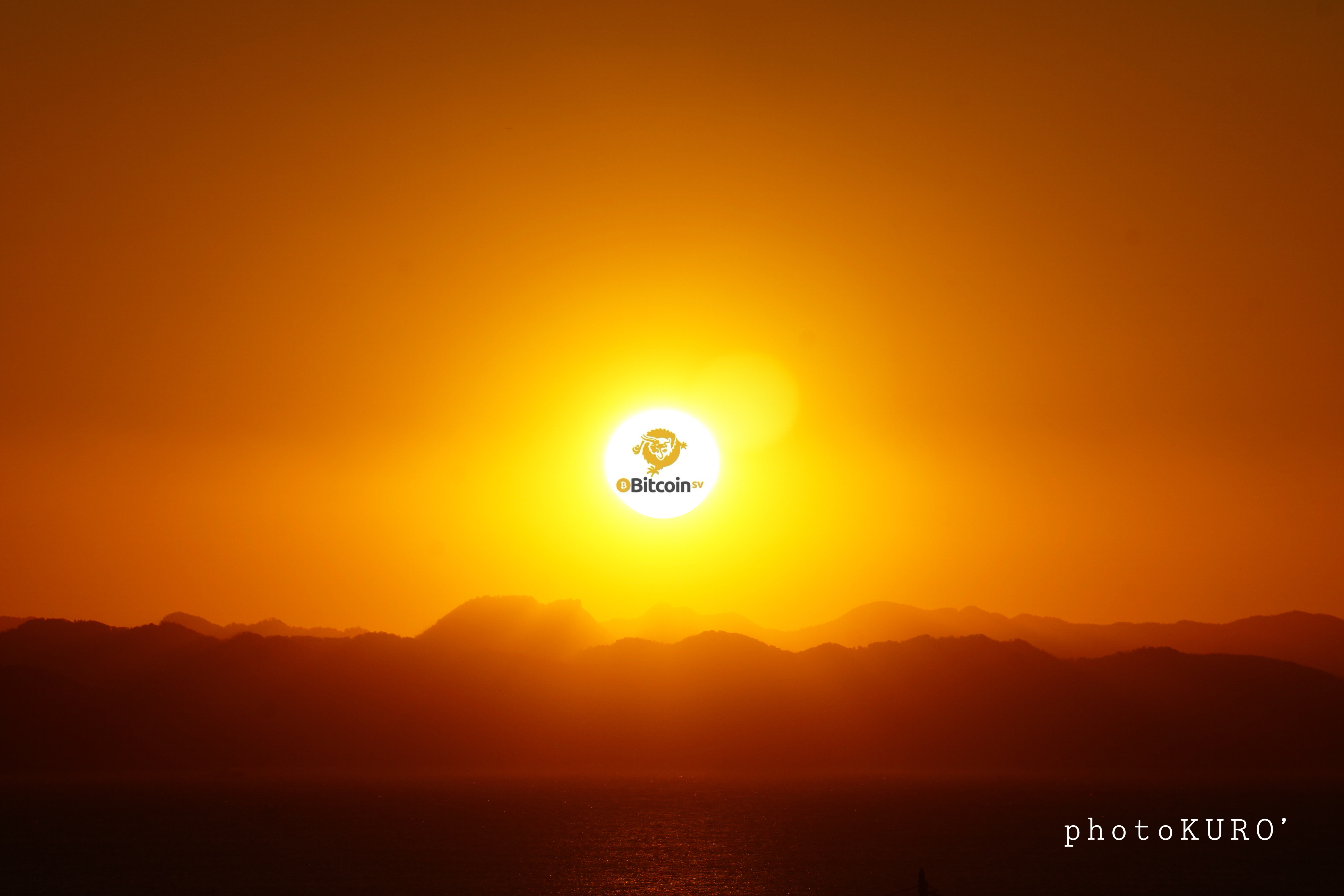 I wasn't looking for Satoshi Vision from the beginning. I was looking for a true blockchain, and I …