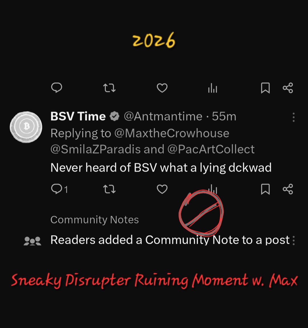 DOCUMENTING 
Life Lessons in BSV