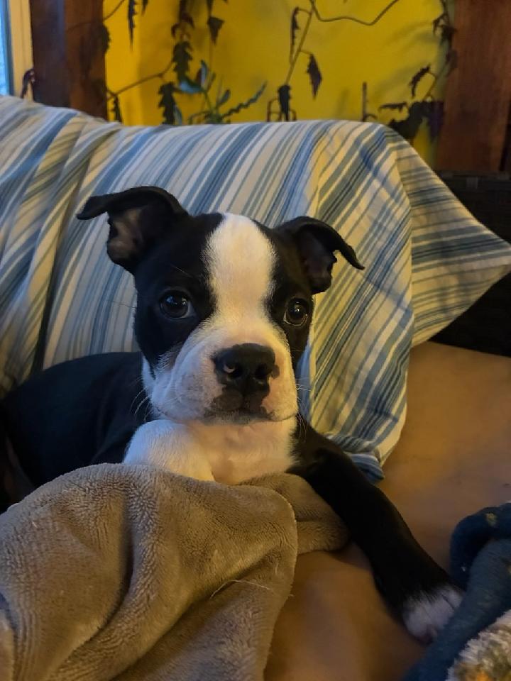 His name is Jerome.