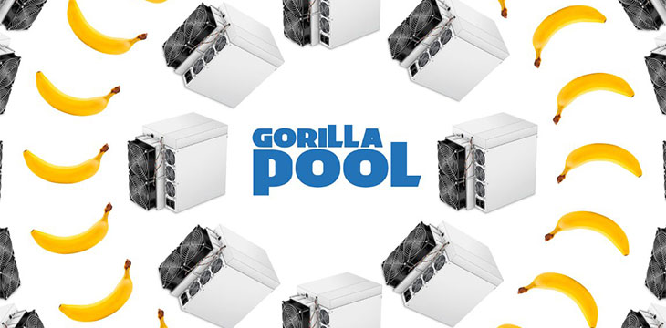 Gorilla Pool is a Bitcoin SV (BSV) mining pool that focuses on supporting decentralization and the …