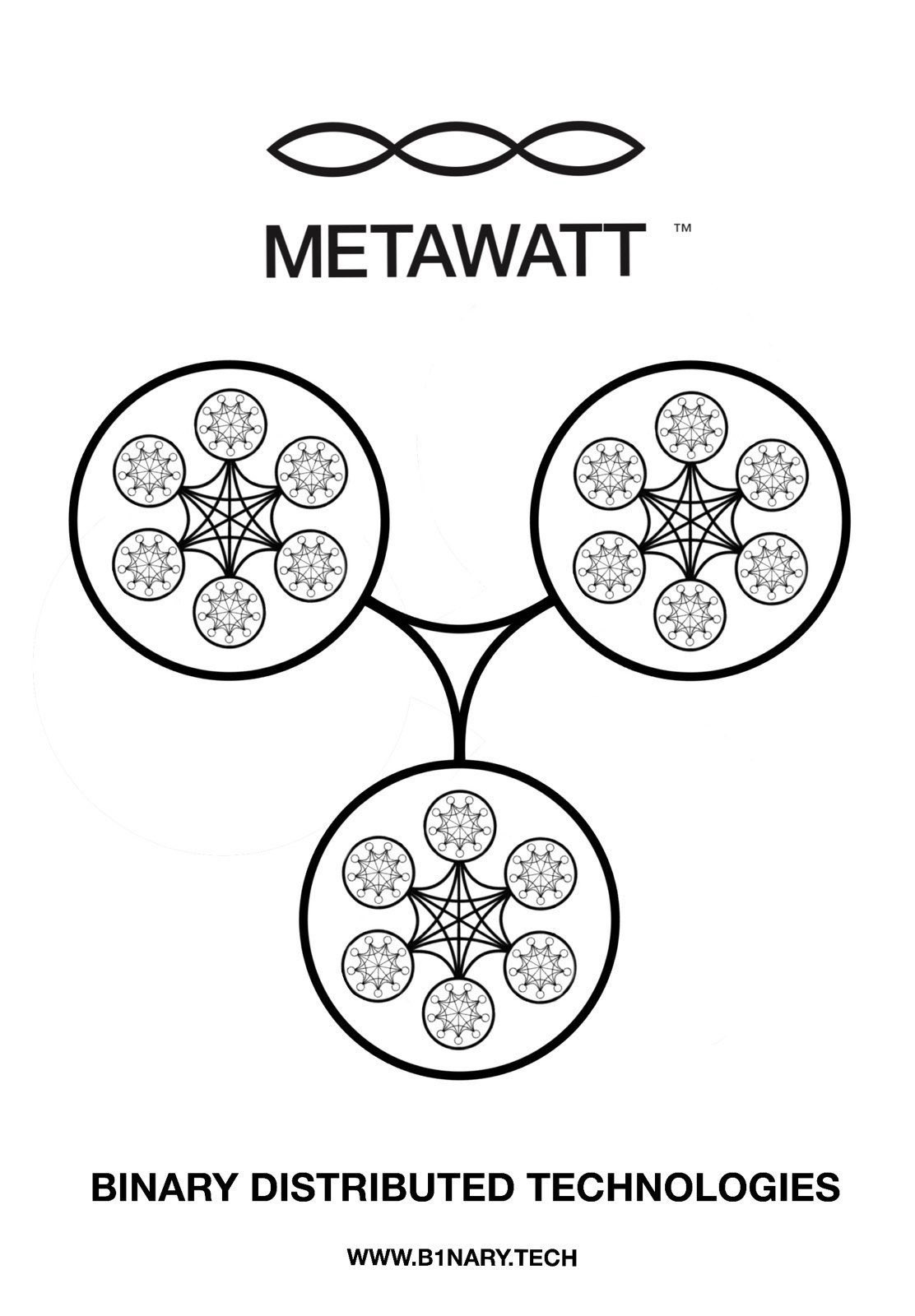 BINARY DISTRIBUTED TECHNOLOGIES