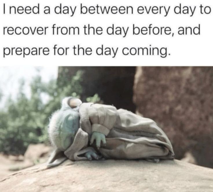 Meme