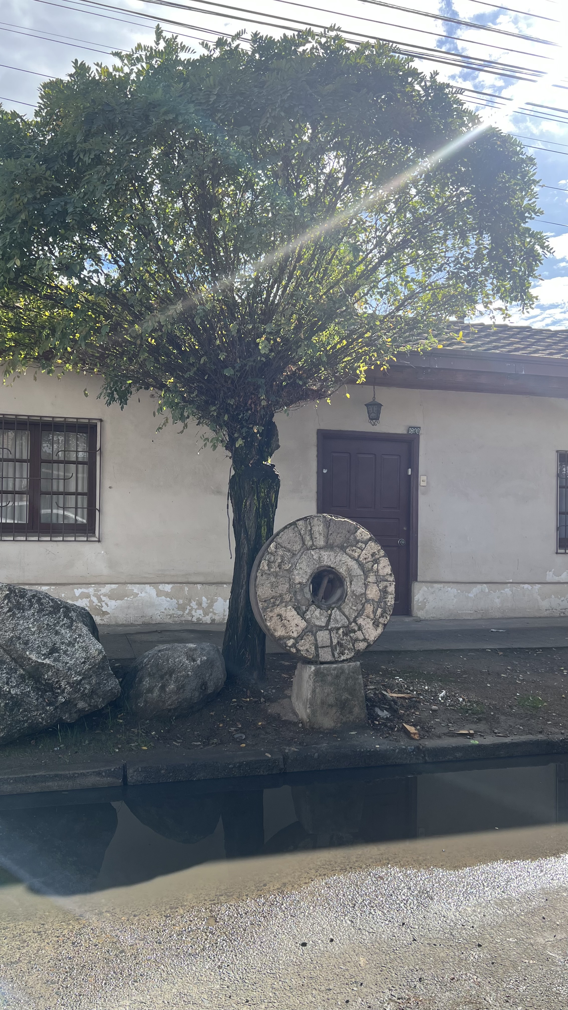 La quietud se mueve

Lo que parece inmóvil, gira.
Nada permanece.