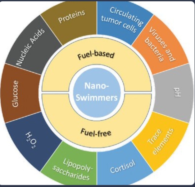 https://x.com/i/status/2031208186829484159

Self‐Propelled Nanoswimmers in Biomedical Sensing - Che…