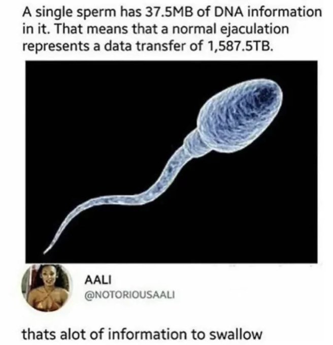 [[data]]