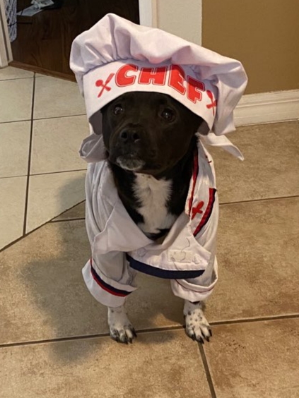 So when do we cook?