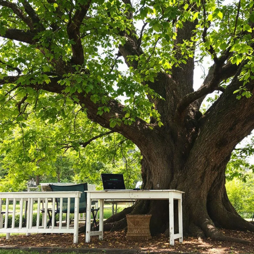 welcome to treechat @Loveinthebreath !flux