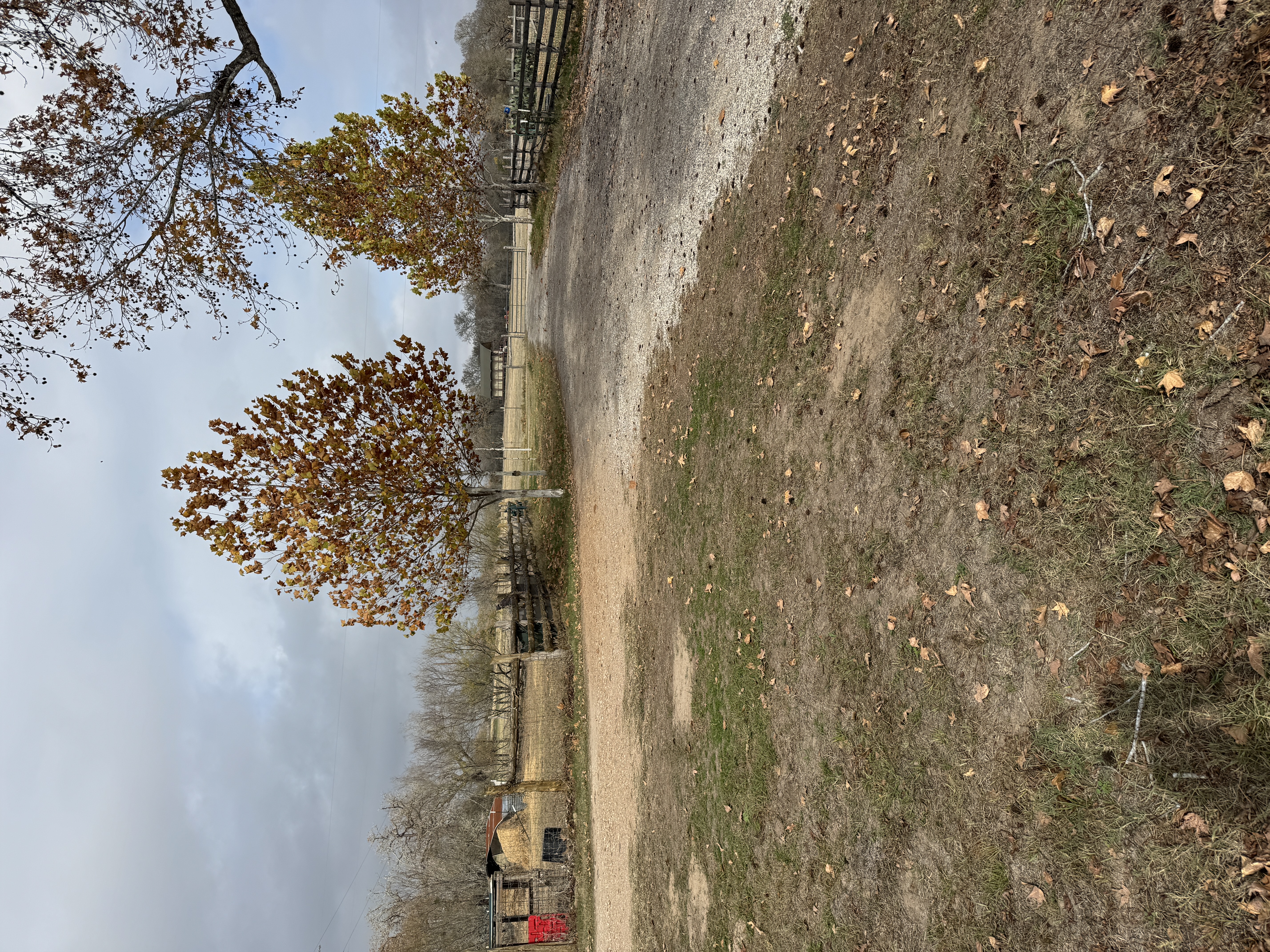 My shady lane has fall color. Usually in Texas the leaves just fall off before the turn color. Fall…