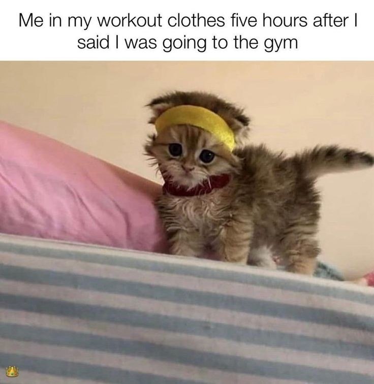 #meme
