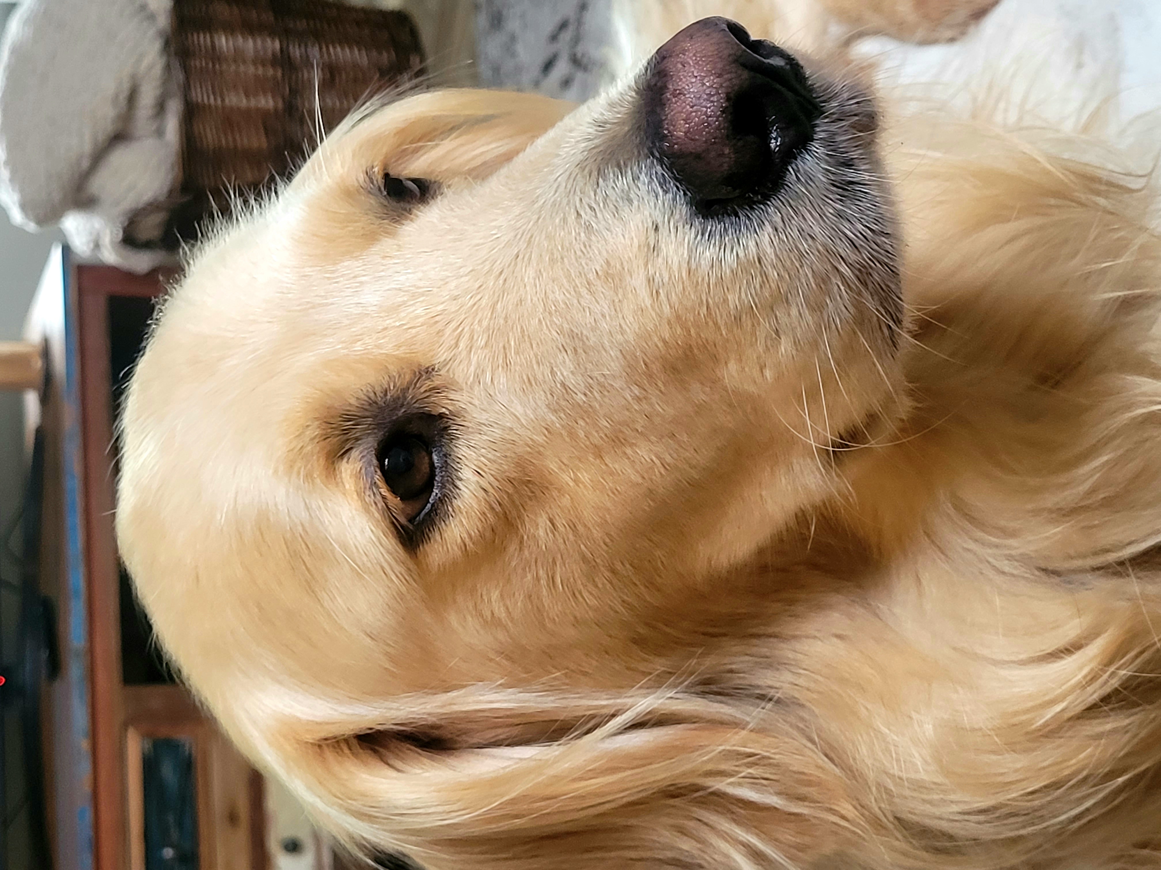 Handsome