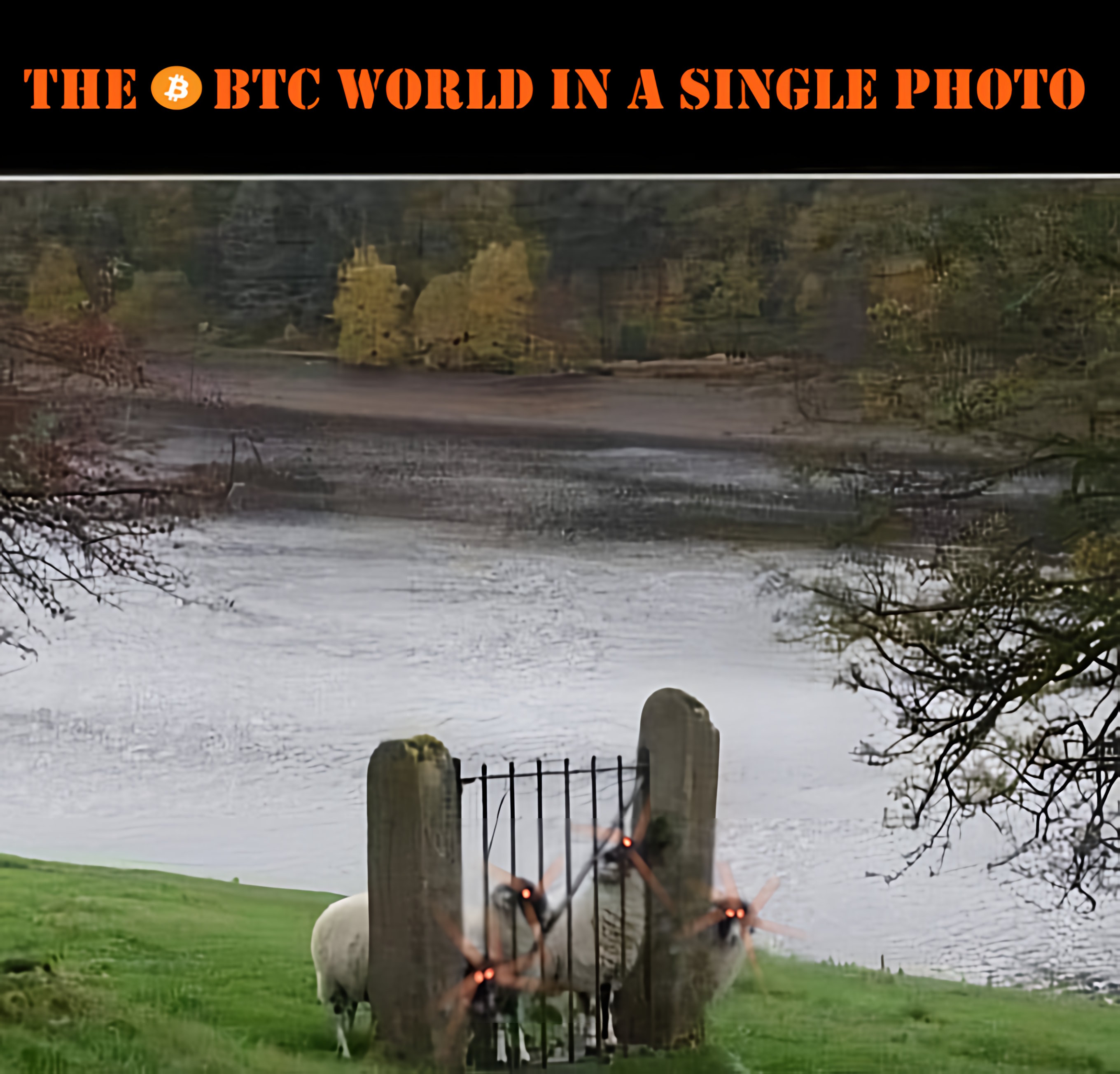 1Bitcoin_user post