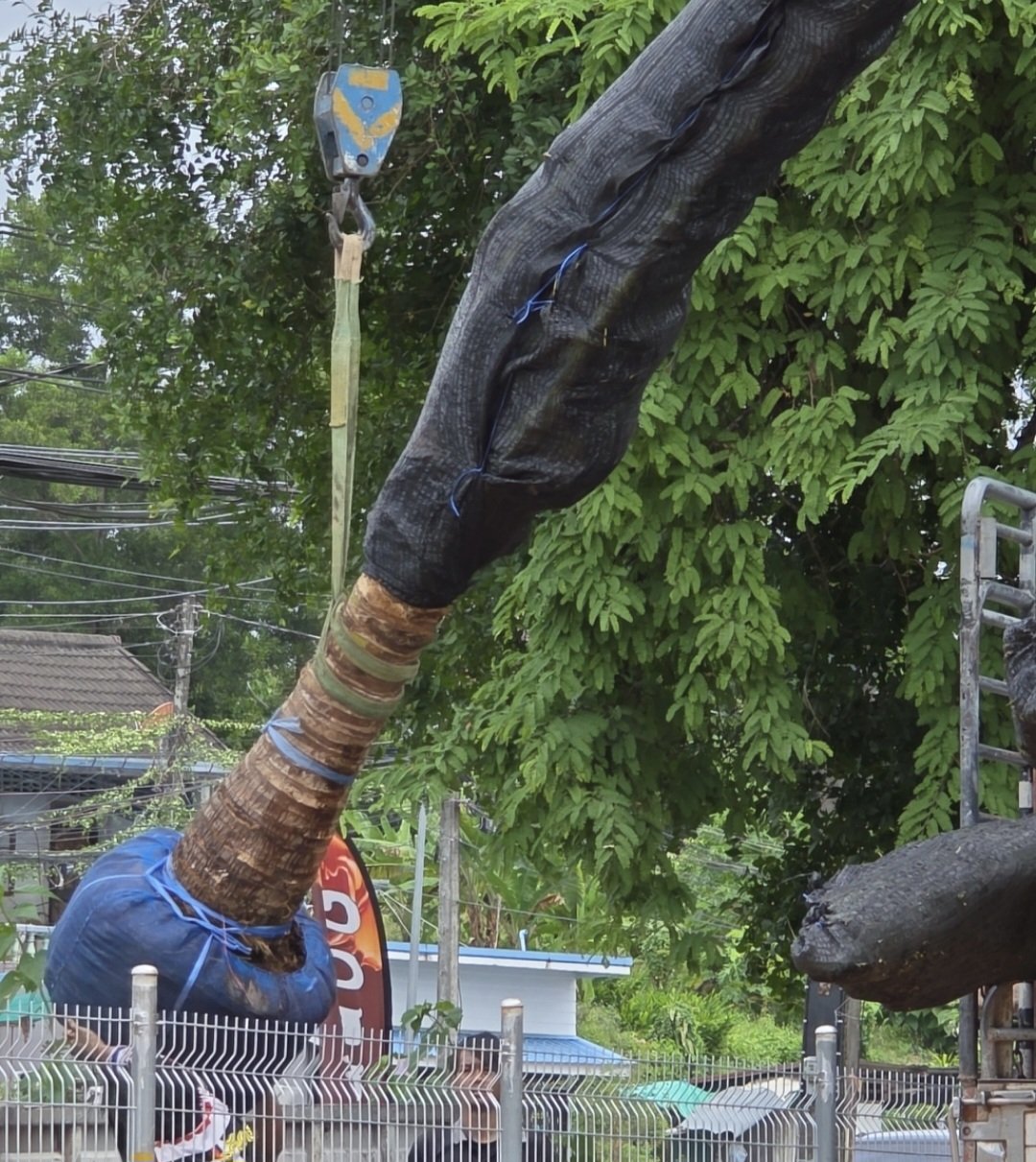 “I've moved on to other things.“
https://x.com/cstominaga/status/1940626523708645867