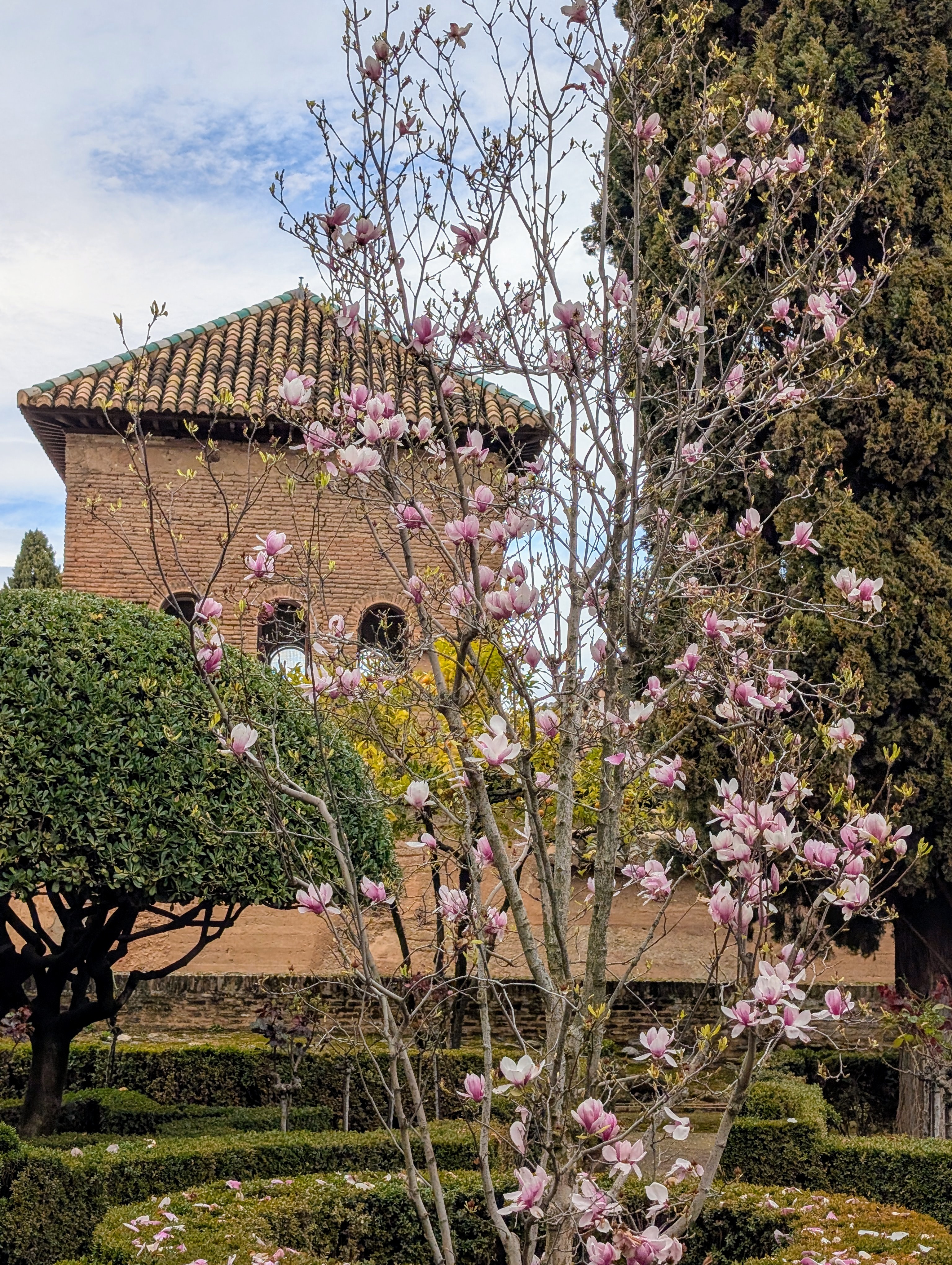 Alhambra.