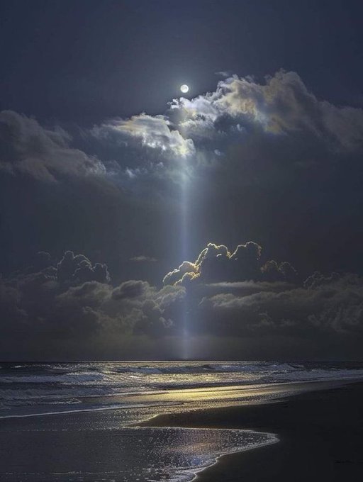 Moonlight