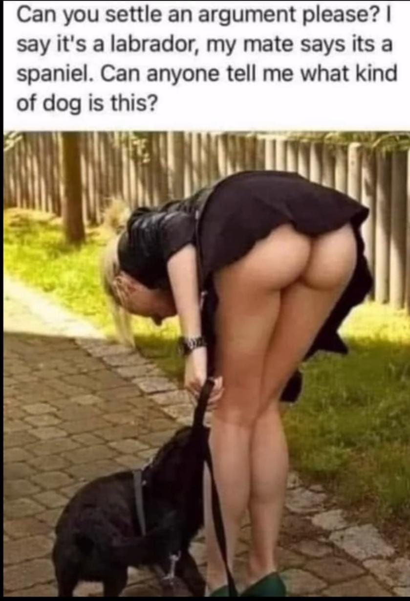 dsflaty post
