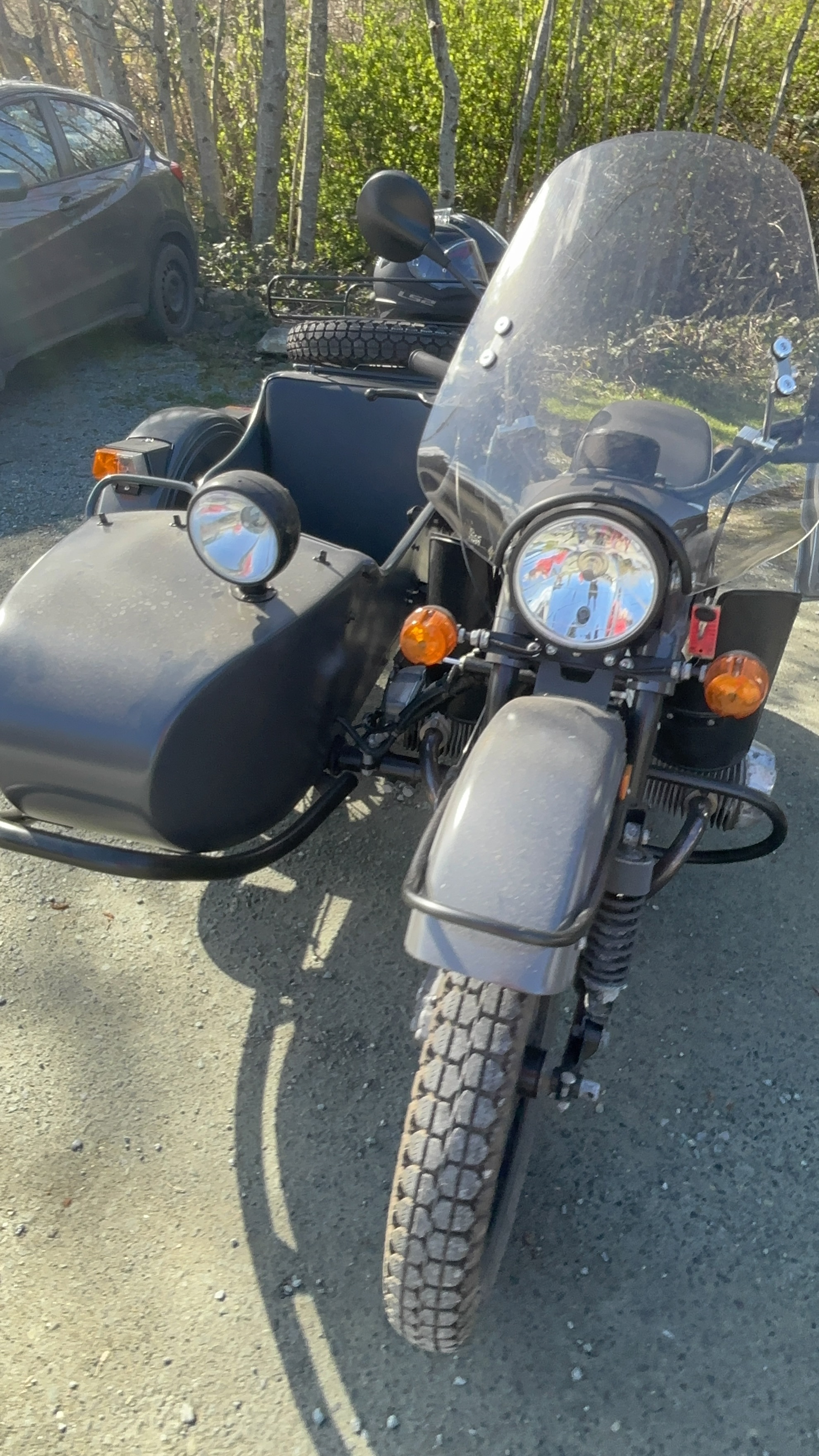 Saw this beauty at the beach the other day.