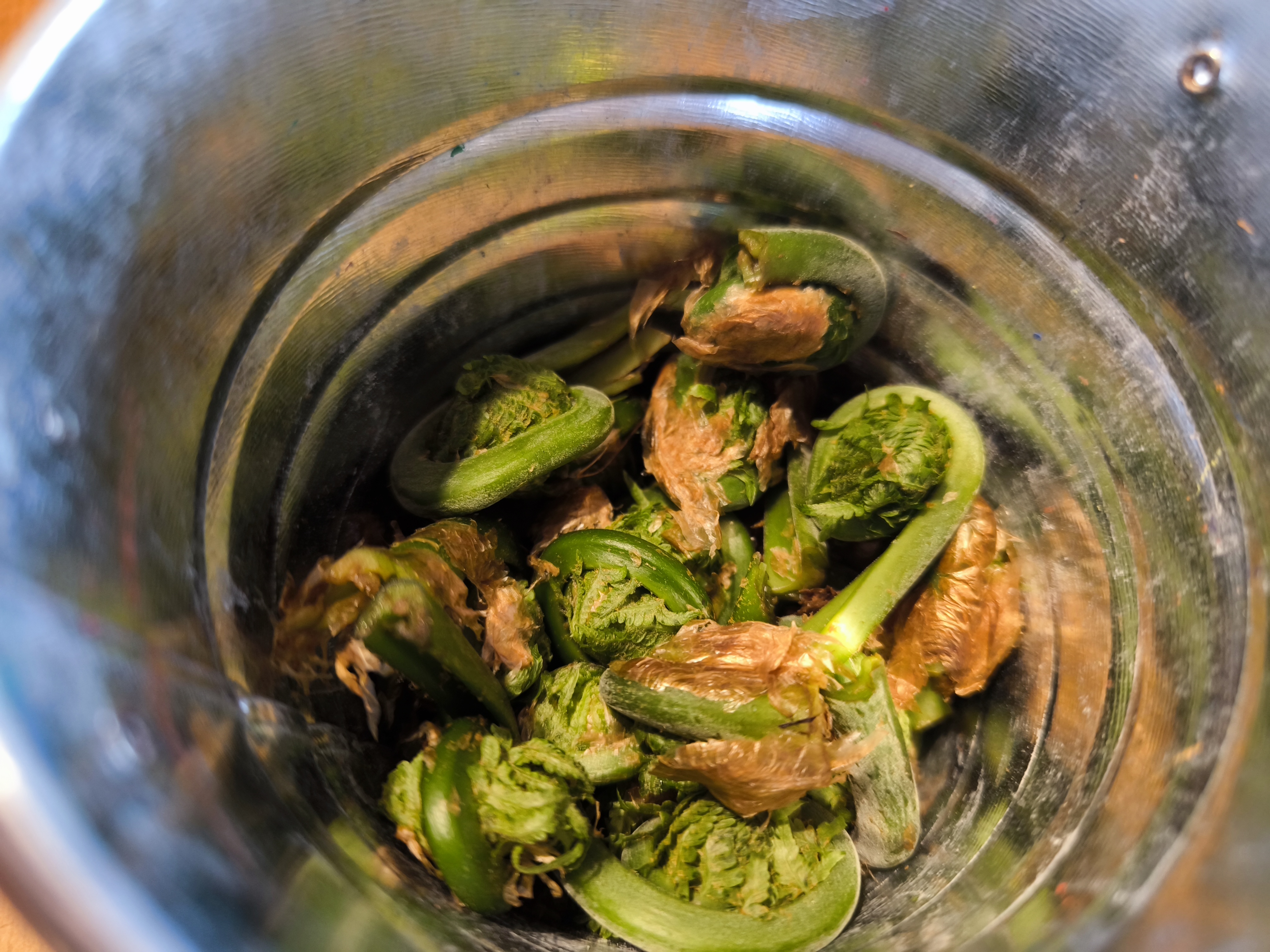 Fiddleheads are the best 🤤
Have you had them before?