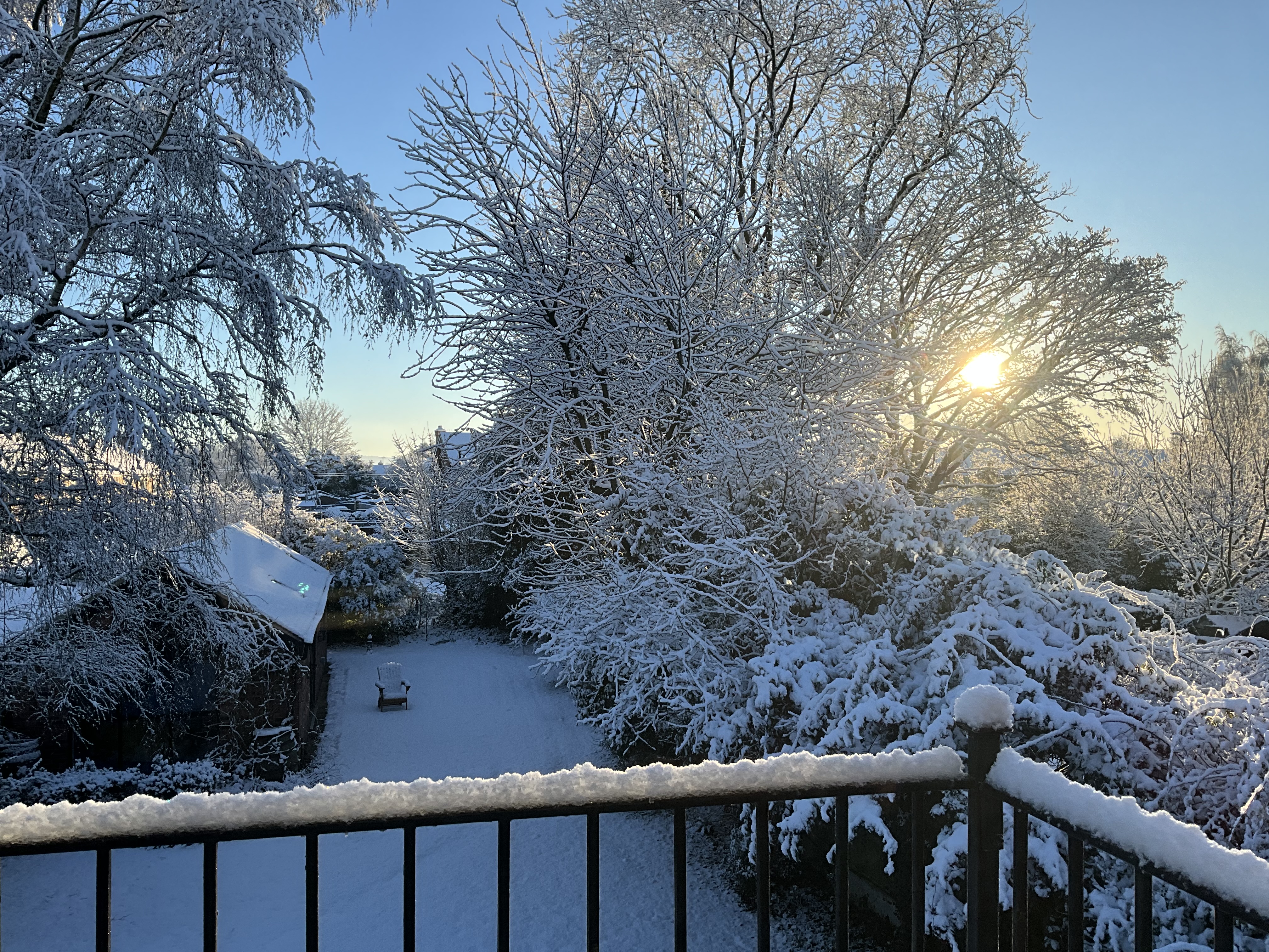 Even prettier this morning!