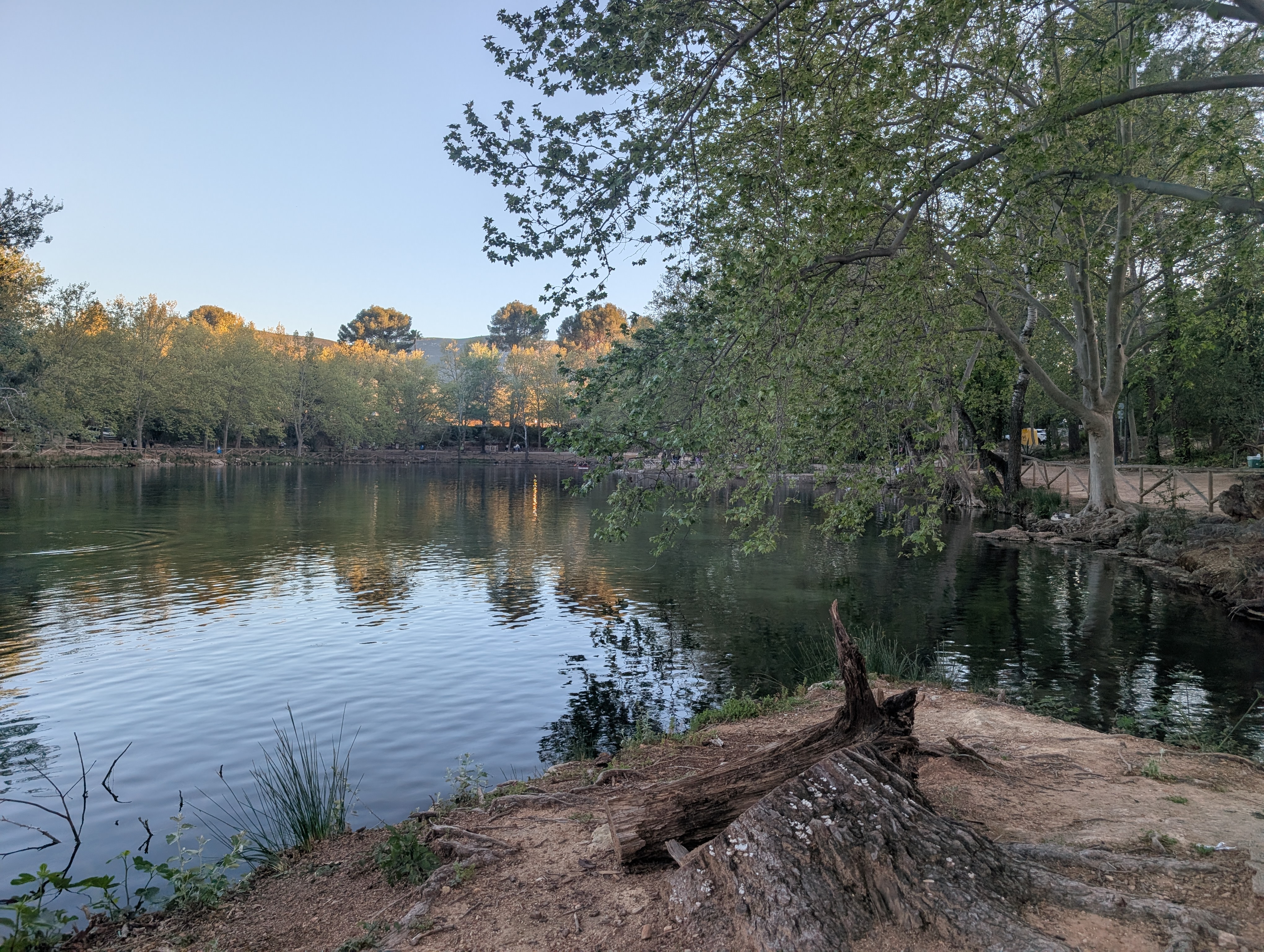 Albufera de Anna.