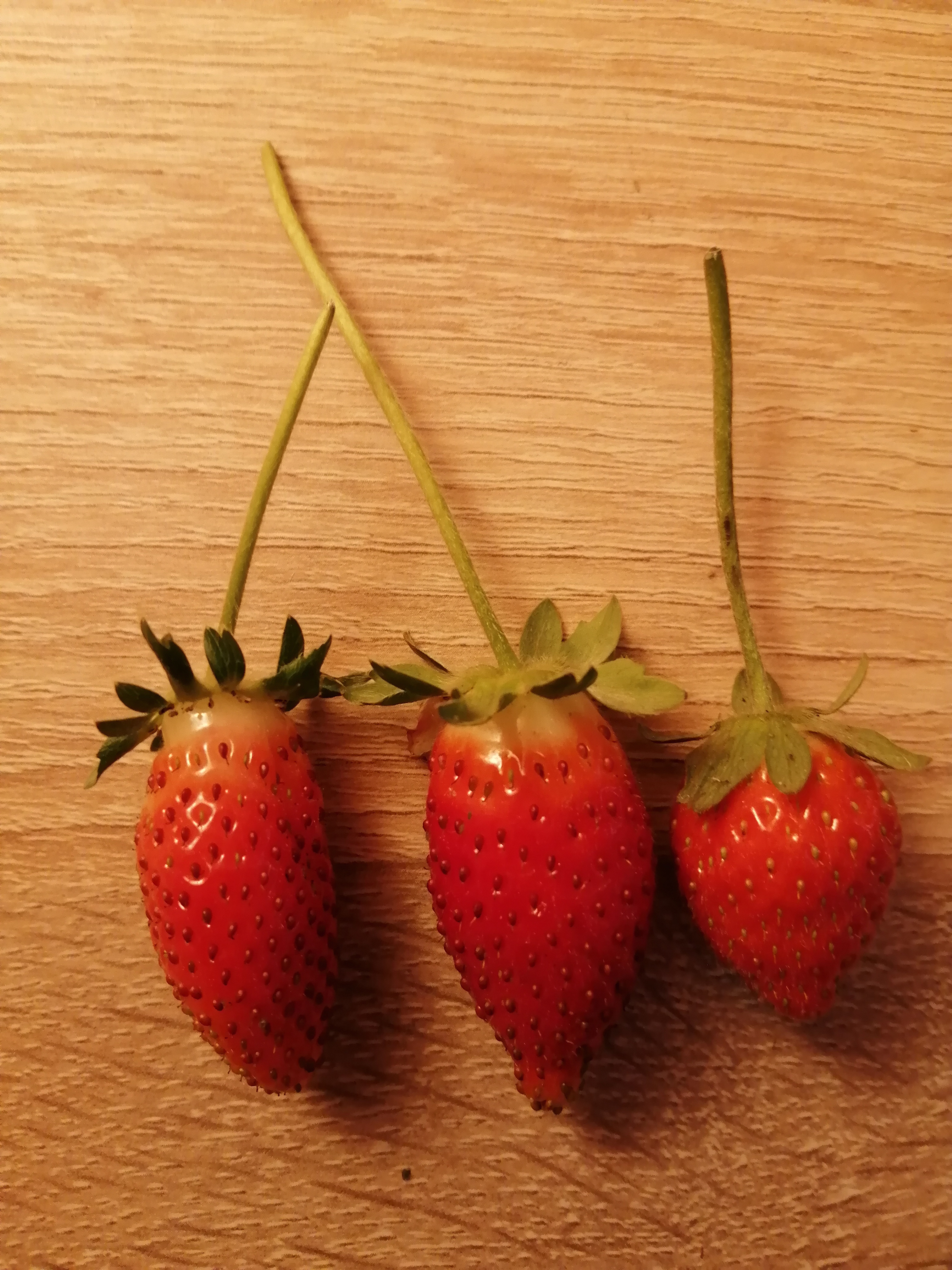Our strawberry plants are growing strong with lots of flowers and we have been snacking some strawb…