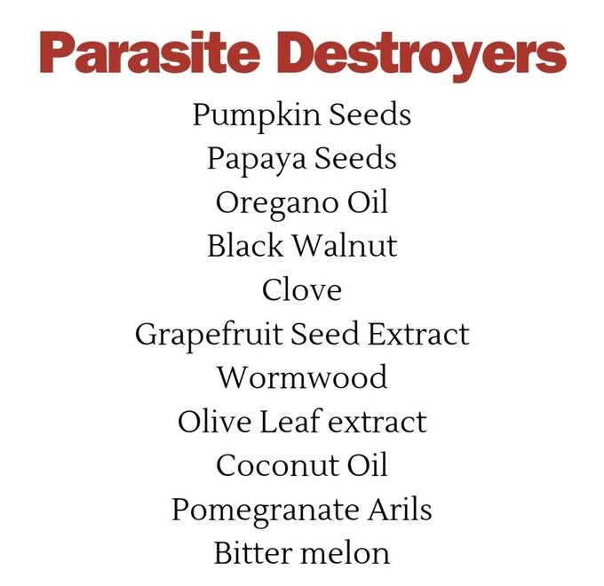 [[parasite]]